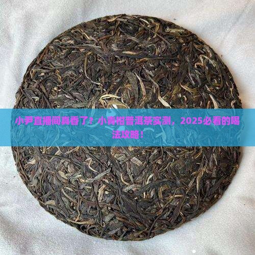 小尹直播间小青柑普洱茶