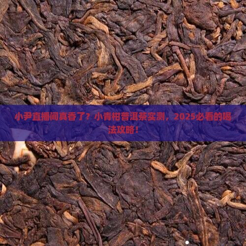 小尹直播间小青柑普洱茶