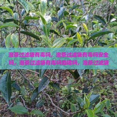 泡茶过滤袋有毒吗 泡茶过滤袋有毒吗