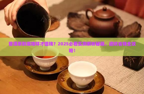普洱茶什么样的贵