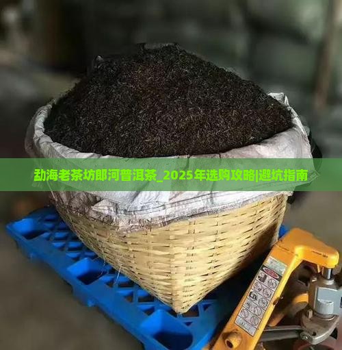 勐海老茶坊郎河普洱茶