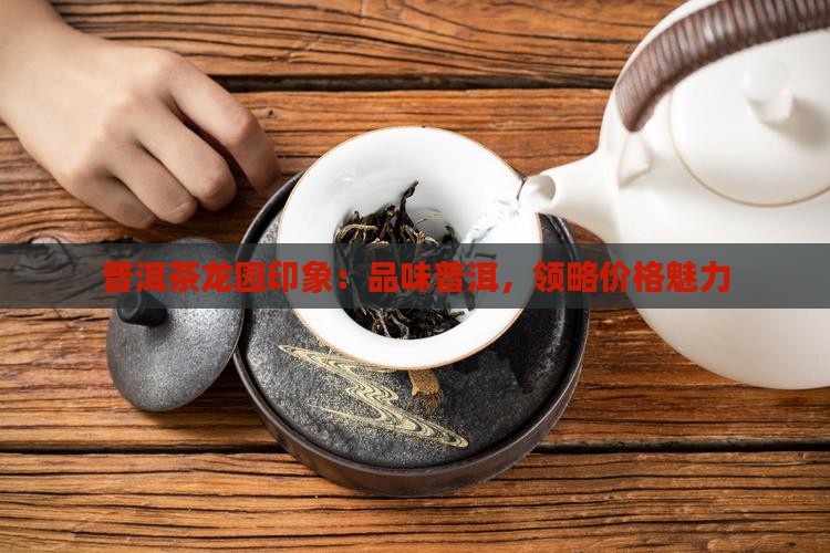 普洱茶龙华印象