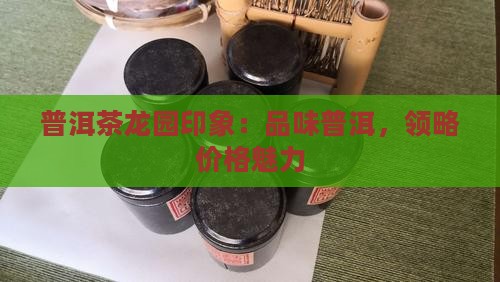 普洱茶龙华印象