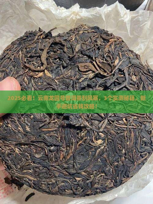 云南龙园号普洱茶刮风寨