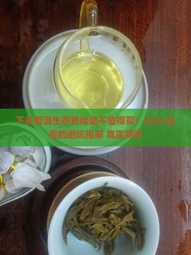 下关普洱茶生茶叶