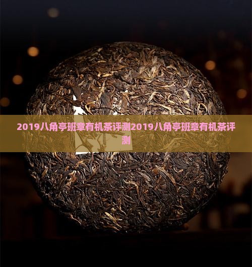 2019八角亭班章有机茶评测