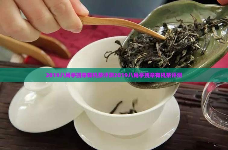 2019八角亭班章有机茶评测