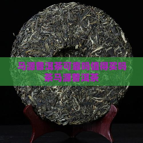马源普洱茶可靠吗