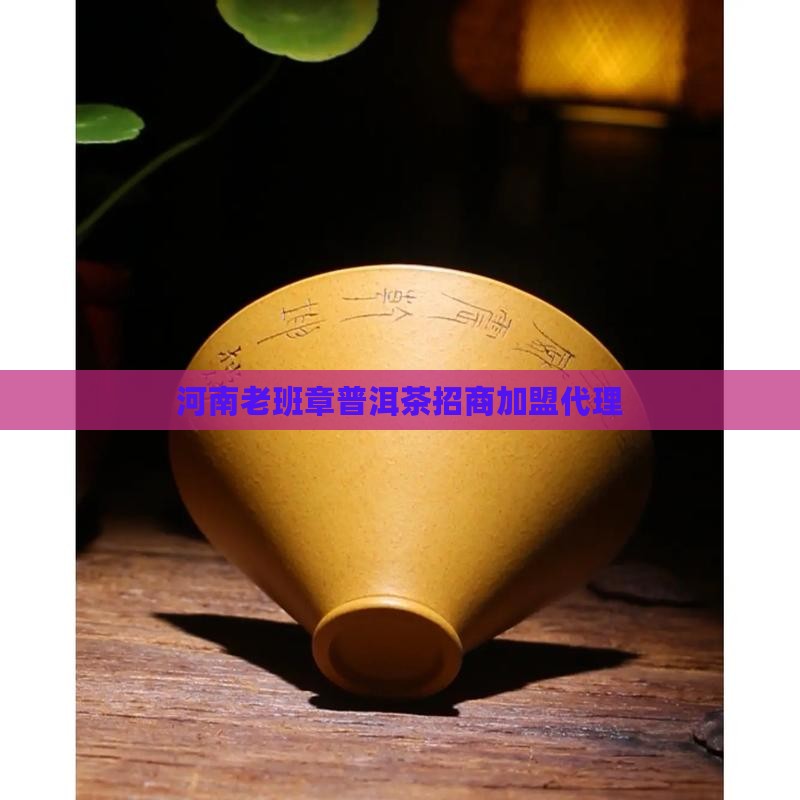 河南老班章品牌加盟代理 河南老班章品牌加盟代理
