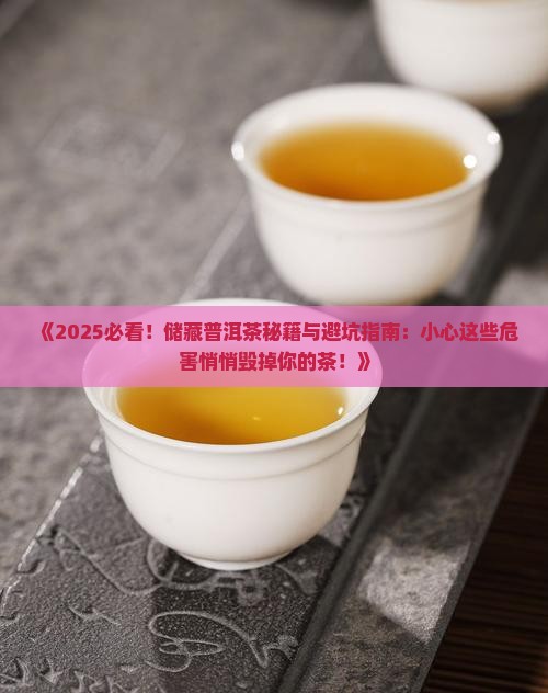 储藏普洱茶的危害