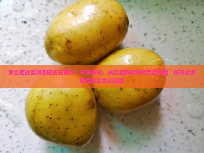 怎么描述普洱茶的历史悠久