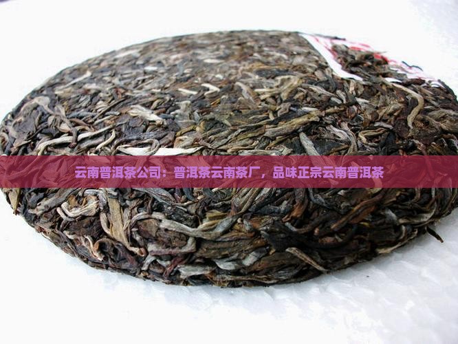 普洱茶云南茶厂