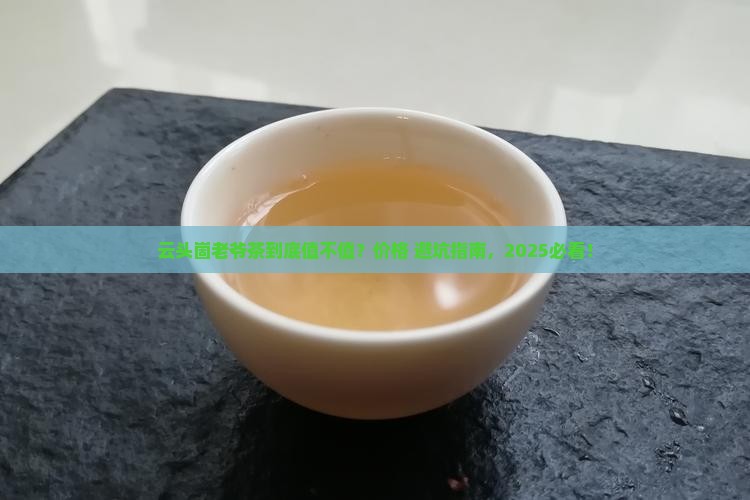 云头崮老爷茶价格