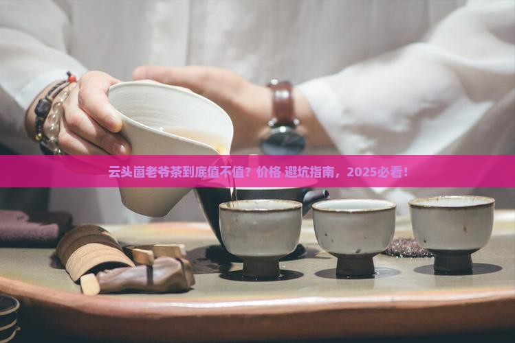 云头崮老爷茶价格