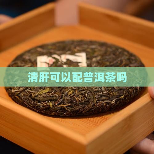 清肝可以配普洱茶吗