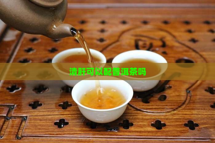 清肝可以配普洱茶吗