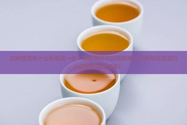 古树普洱茶什么价值高一些