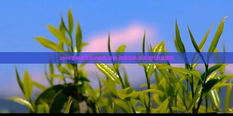 2008古树普洱茶价格表