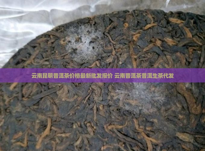 昆明普洱茶代发