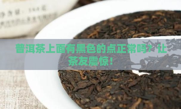 普洱茶上面有黑色的点