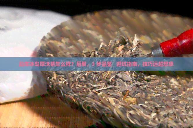 勐库冰岛厚沃茶怎么样