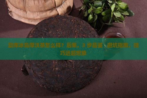 勐库冰岛厚沃茶怎么样