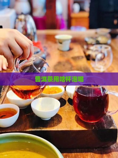 普洱茶用啥杯泡最好喝