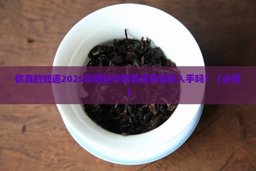 中期普洱茶推荐品种