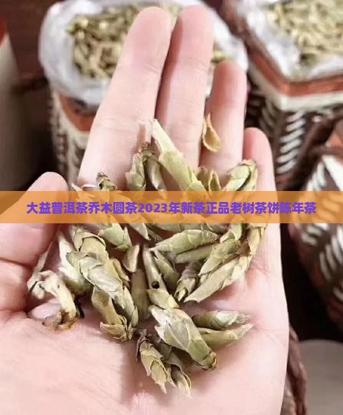 大益普洱茶乔木圆茶