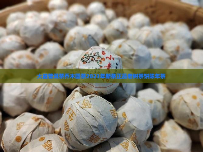大益普洱茶乔木圆茶