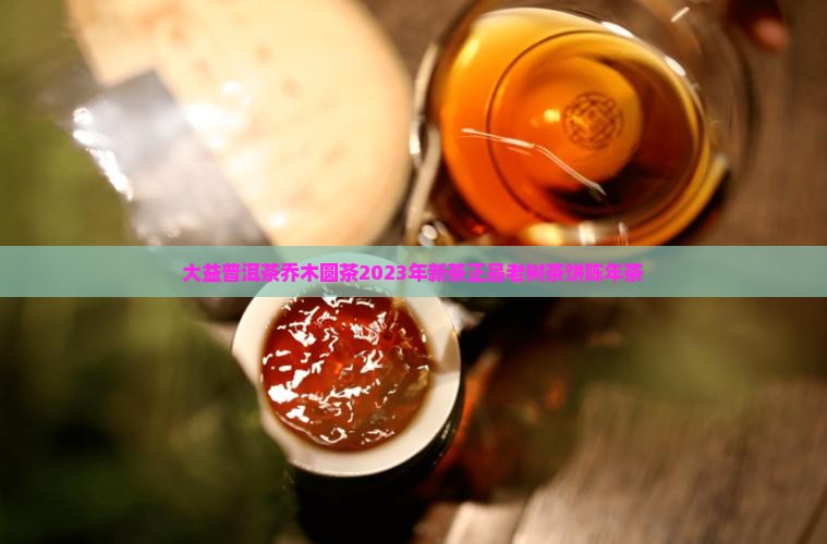 大益普洱茶乔木圆茶