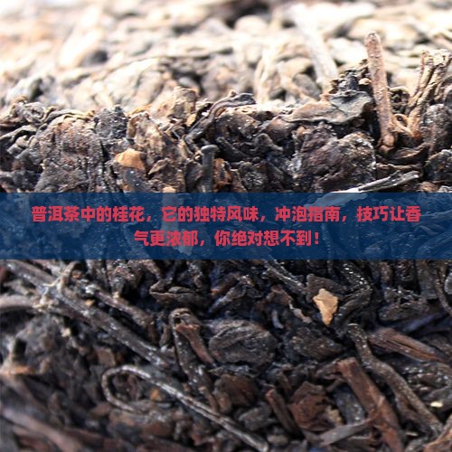 普洱茶中的桂花