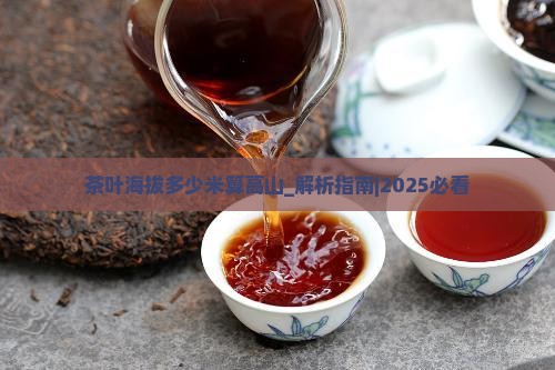 茶叶海拔多少米算高山