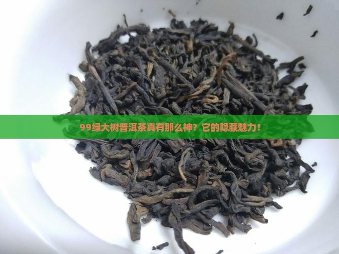 真的99绿大树普洱茶