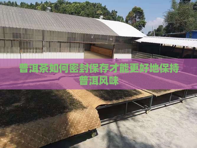 普洱茶密封怎样做的好一点