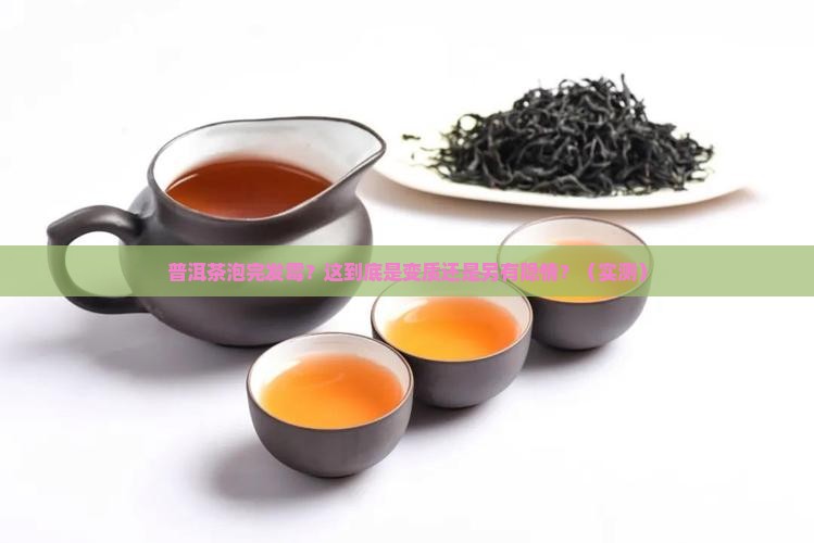 普洱茶泡完发霉