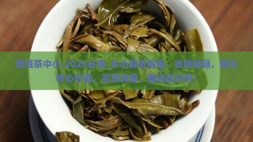 普洱茶中小品牌