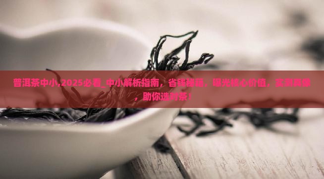普洱茶中小品牌