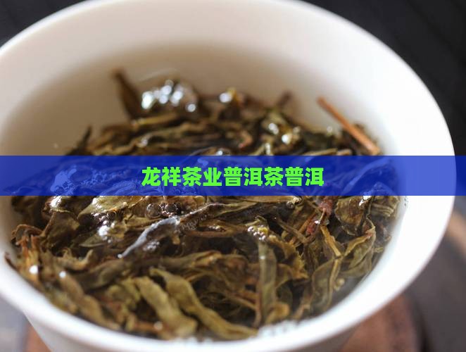 玉龙祥茶叶普洱茶