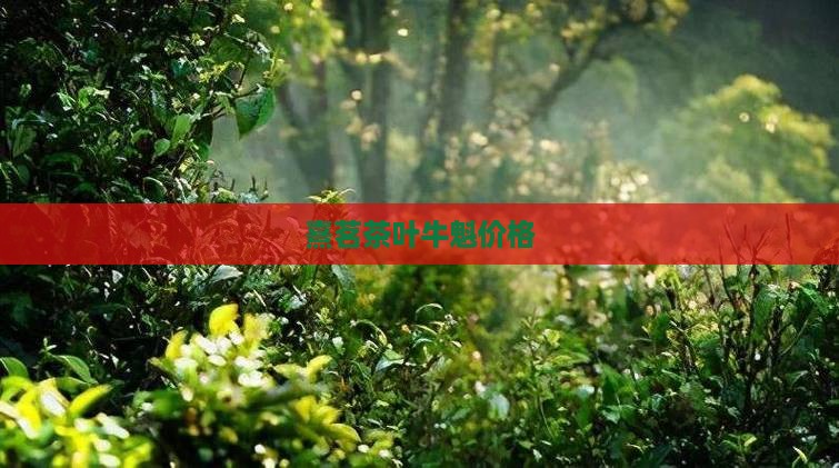 熹茗茶叶牛魁价格