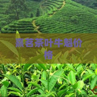 熹茗茶叶牛魁价格