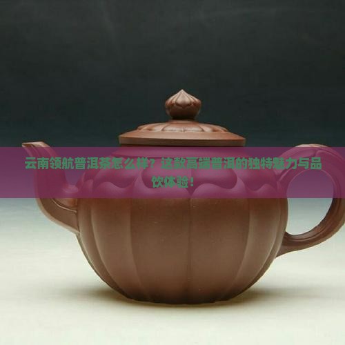 云南领航普洱茶怎么样