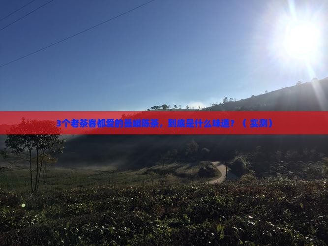 老曼峨陈茶是什么味道