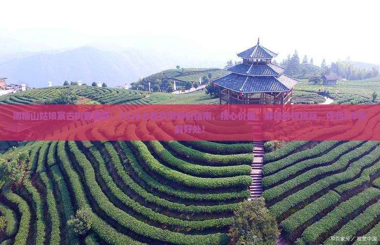 南糯山姑娘寨古树普洱茶