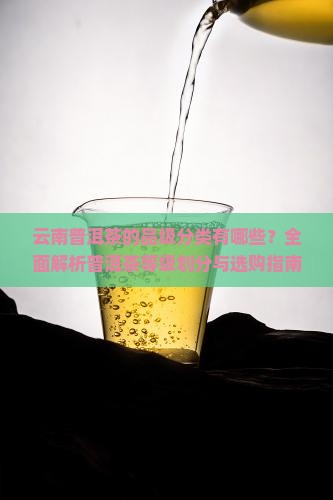 云南普洱茶的品级分类有哪些