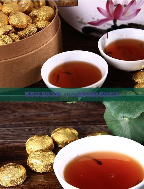 思茅普洱茶怎样