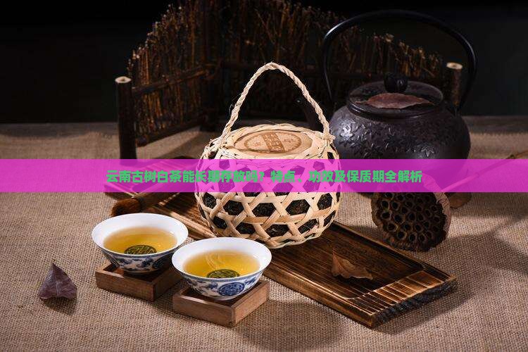 云南古树白茶能长期存放吗