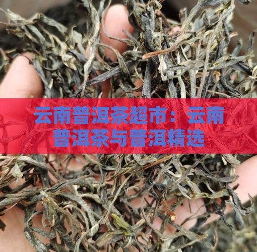 雲南普洱茶超市