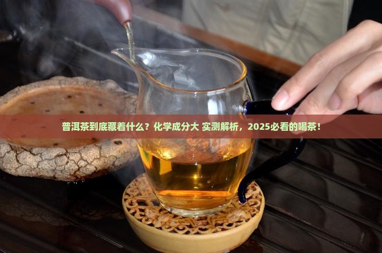 普洱茶中的化学成分表