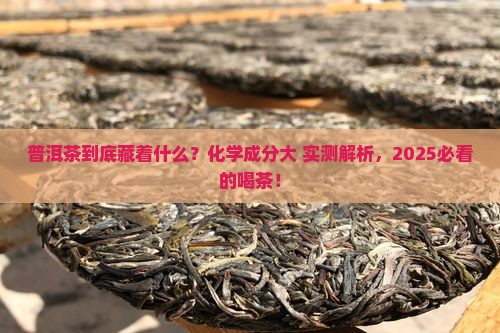 普洱茶中的化学成分表